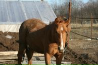 Рустам Галин фотография #5 (источник - https://vk.com/id21541160)