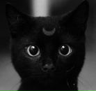 Фотография Кармир-Арев Анастасии