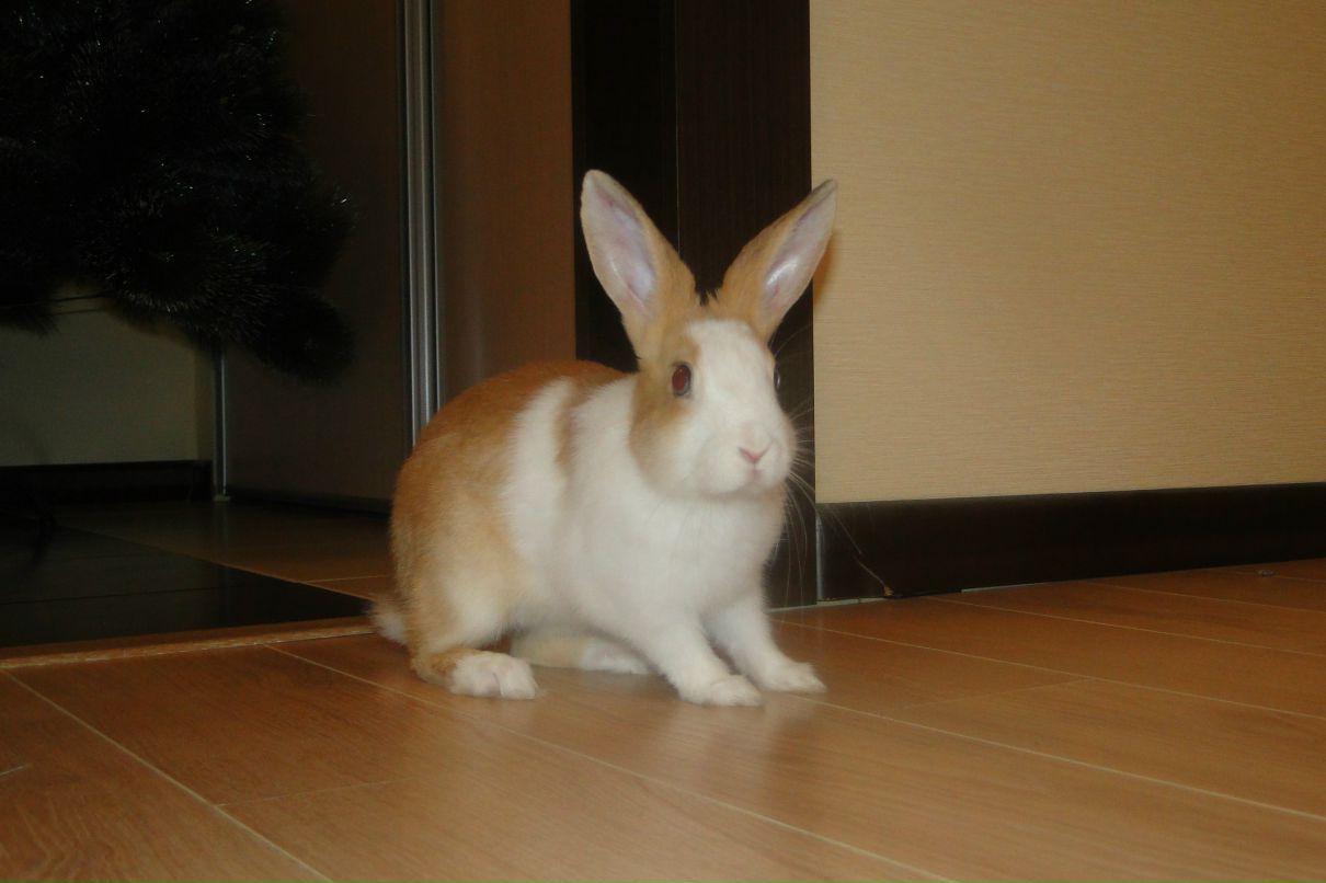 Сергей Щипицын фотография #23