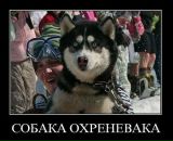 Фотография Вихарева Ивана