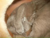 Фотография Дозморова Сергея