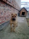 Марія Булка фотография #29 (источник - https://vk.com/id166454209)