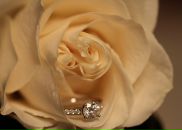 Анастасія Полевик фотография #42 (источник - https://vk.com/id15078244)