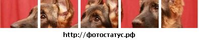 Софія Келлер фотография #47 (источник - https://vk.com/id81901610)