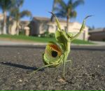 Фотография Сажникова Сергея