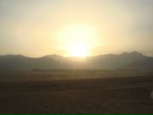 Фотография Саутовой Елены