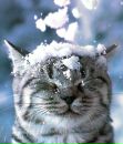 Іра Зозуля фотография #7 (источник - https://vk.com/id95525238)