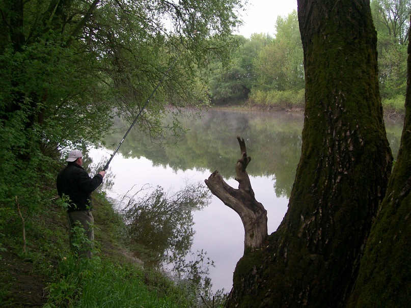 Слава Бабенко фотография #35