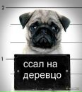 Віка Крупач фотография #1