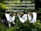 Андрій Конзюба фотография #27 (источник - https://vk.com/id126428404)