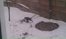 Donik Abdu фотография #1