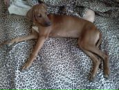 Фотография Минаева Евгения