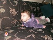 David Imerlishvili фотография #3 (источник - https://vk.com/id4003793)