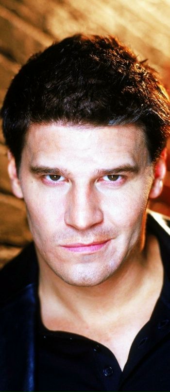 Девід Борінас фотография #6