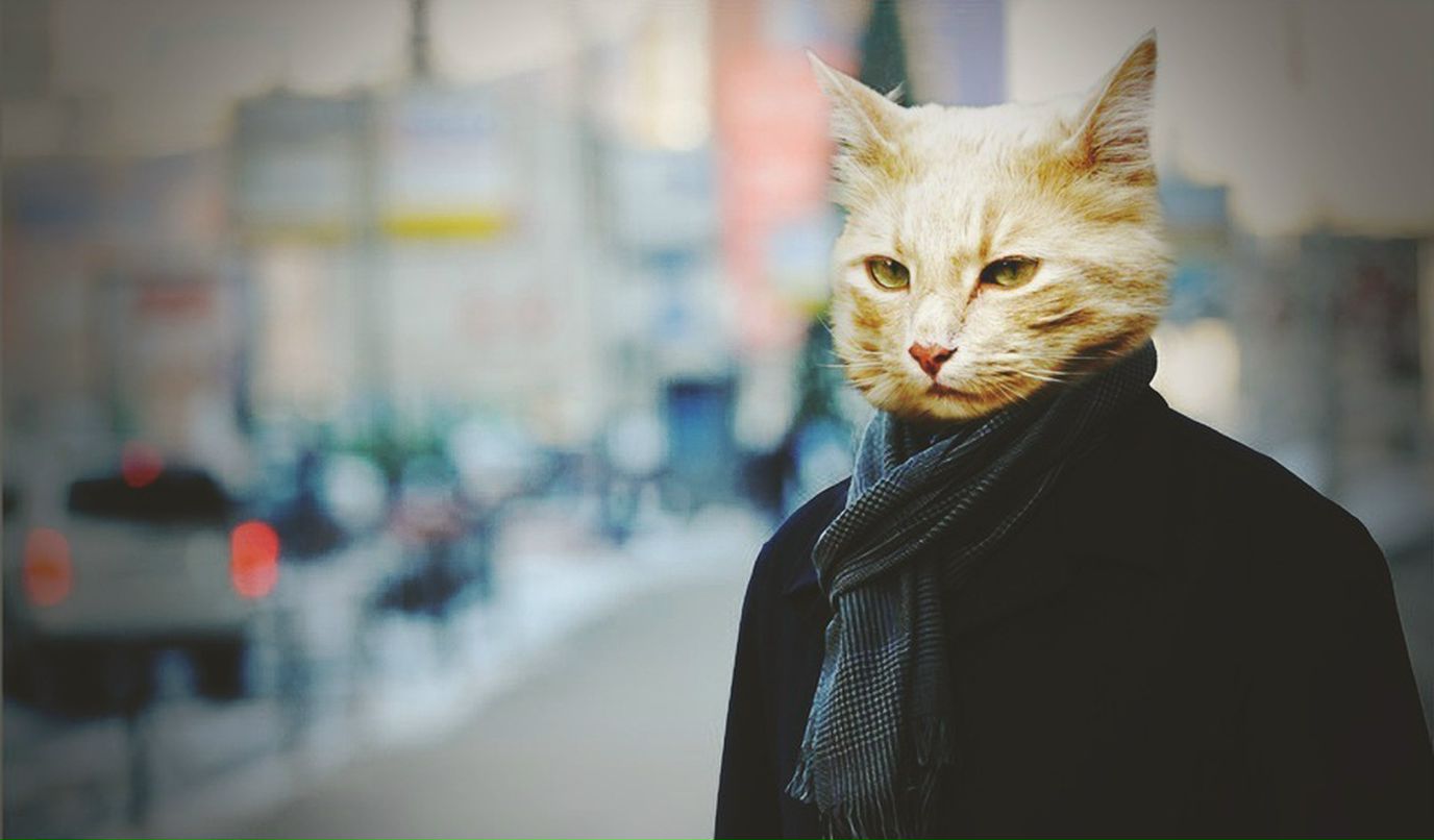 Сергей Волов фотография #43