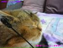 (^-^***dеtkа***^-^) ♥_♥ фотография #9 (источник - https://vk.com/id150636227)