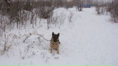 Тарас Савчій фотография #16 (источник - https://vk.com/id24895864)