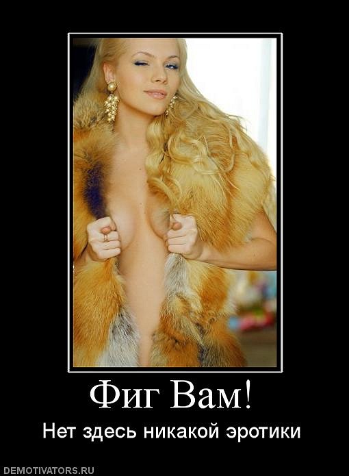 Илья Стафеев фотография #28