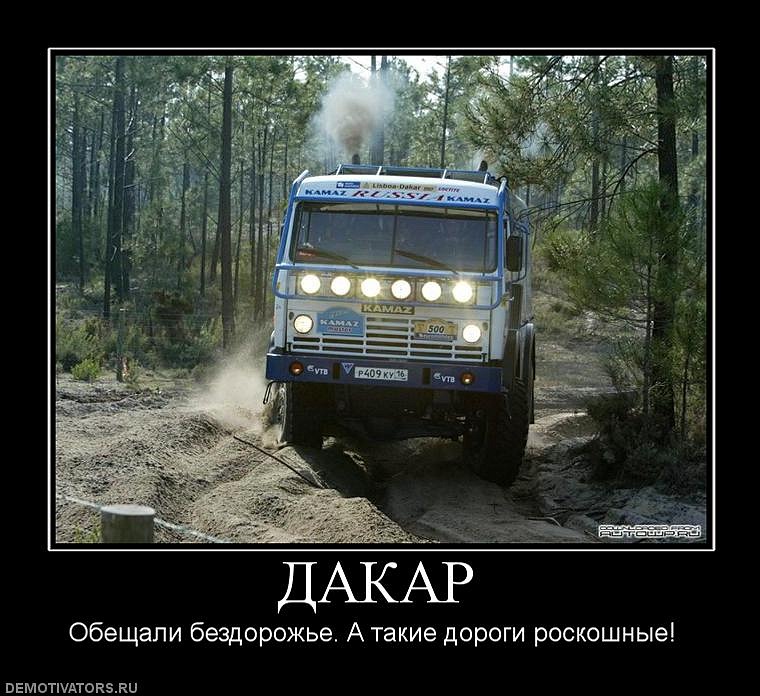 Илья Стафеев фотография #29