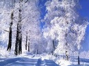 Олег Мусій фотография #38 (источник - https://vk.com/id141227874)