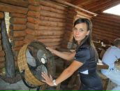 Фотография  