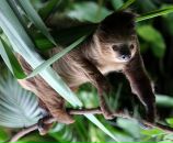 Фотография Лягиной Кристины