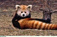 Фотография Тхак Ксюхи