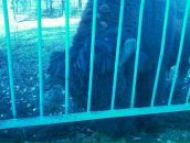 Андрій Шуляк фотография #40 (источник - https://vk.com/id153988007)