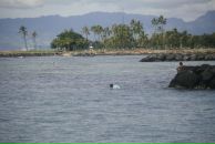 Назар Леськів фотография #42 (источник - https://vk.com/id28642000)