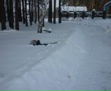 Фотография Нарожной Надежды