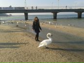 Ирина Росеник фотография #41 (источник - https://vk.com/id19032011)