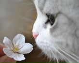 Фотография Аркуши Ирины