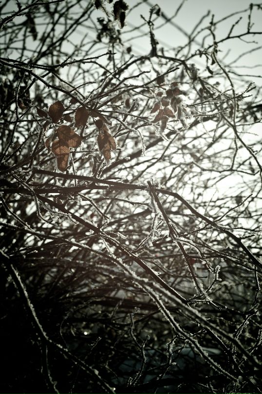 Антон Девяткин фотография #28