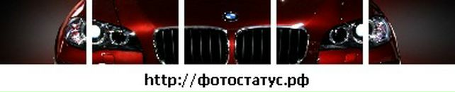 Дима Ткаченко фотография #10 (источник - https://vk.com/id523793)