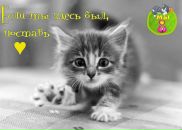 Діануся Котуся фотография #27 (источник - https://vk.com/id156253413)