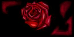 Фотография Мозохиной Юлии