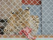 Фотография Боярчук Анастасии