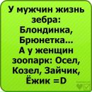 Дімон Мойпанюк фотография #20 (источник - https://vk.com/id116589529)