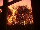 Фотография Анкинович Маргариты