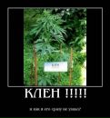 Ніколай Ковальчук фотография #50 (источник - https://vk.com/id167690739)