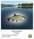 Катя Семенів фотография #20 (источник - https://vk.com/id150644712)