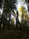 Фотография Павлова Сергея