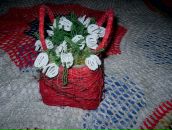 Роксолана Олійник фотография #49 (источник - https://vk.com/id57632426)