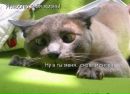 Фотография Репникова Александра