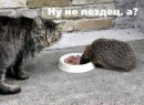 Анна Ягг фотография #46 (источник - https://vk.com/id4562317)