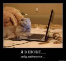 Вітя Петруняк фотография #11 (источник - https://vk.com/id40624482)