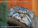 Асиф Зардари фотография #16 (источник - https://vk.com/id42724047)