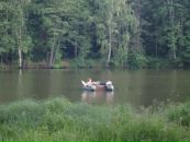 Миша Миша фотография #1