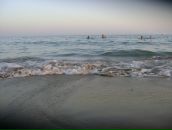 Надія Кисіль фотография #13 (источник - https://vk.com/id136048238)