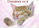 Дашулька Хміль фотография #20 (источник - https://vk.com/id169923919)